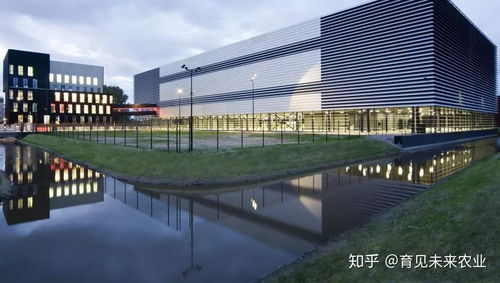 荷蘭緣何成為“新硅谷”與文化藝術(shù)交流的全球樞紐
